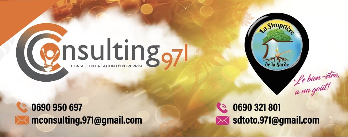 Consulting 971 · La Siroptine de la Sarde — Banderole